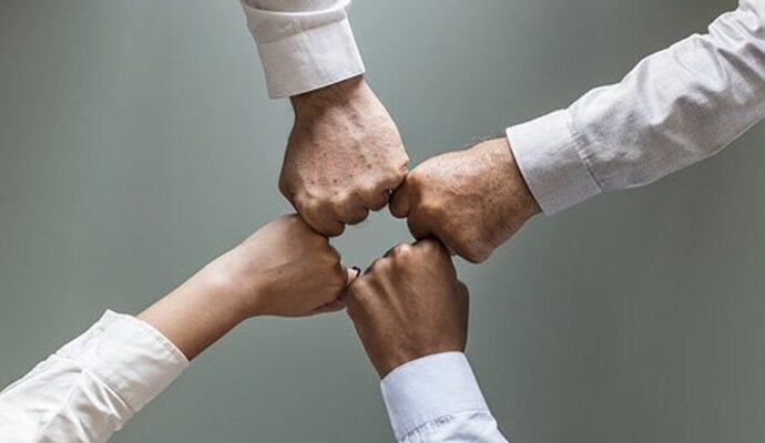 Knipmeijer persbericht